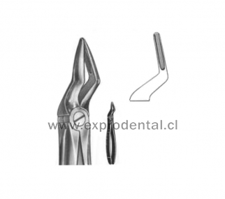 Forcep Bayoneta Fino 51A